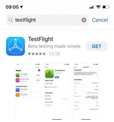 download testflight