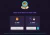 stake flip token
