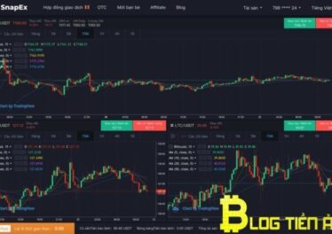Sàn Snapex: Hướng Dẫn Nạp Rút USDT, BTC, ETH thông qua Vicuta - dantradecoin