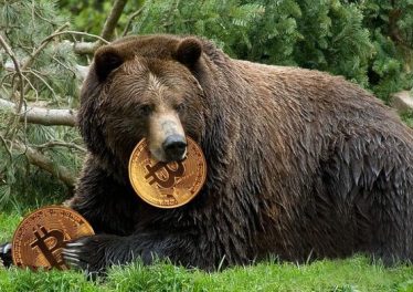 Chuyên gia tuyên bố 80% "mùa đông" Bitcoin đã qua, liệu đợt tăng mới có đang đến gần? - dantradecoin
