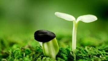 Đầu tư tiền điện tử cho người có ít thời gian - dantradecoin