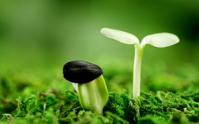 Đầu tư tiền điện tử cho người có ít thời gian - dantradecoin 1 Đầu tư tiền điện tử cho người có ít thời gian - dantradecoin