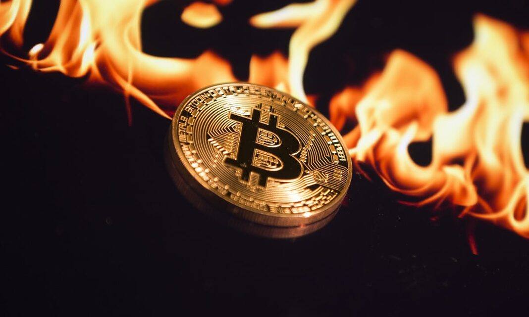 bitcoin 1786290186 1719