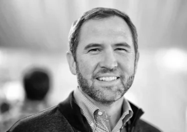 CEO Ripple Brad Garlinghouse tiết lộ chiến lược crypto 5 năm: Bitcoin, XRP và 3 altcoin góp mặt - dantradecoin
